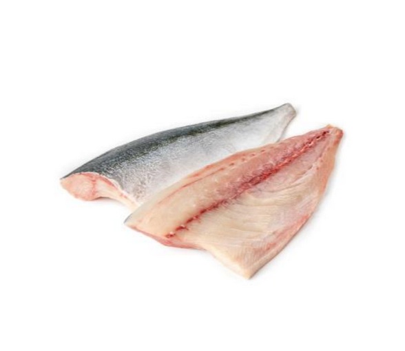 Hamachi Fillet Frozen Yellowtail