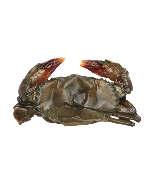 Soft Shell Crab 50/70