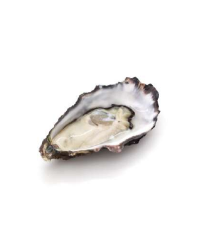 Oysters Gillardeau N.2