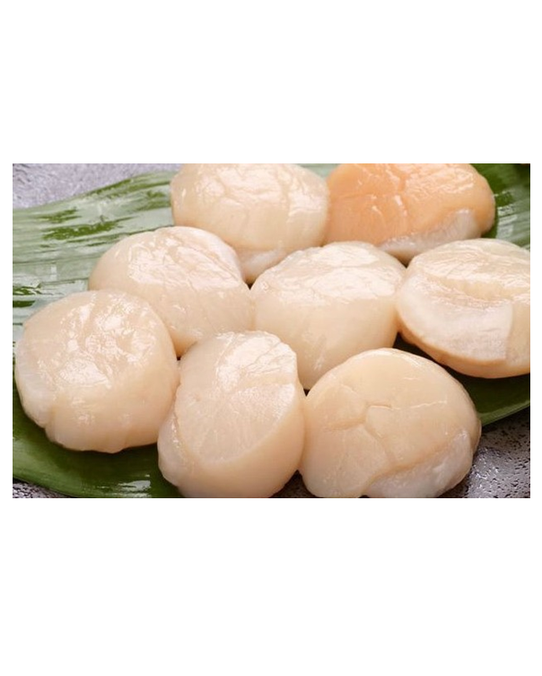 Japanese Scallops Hotate