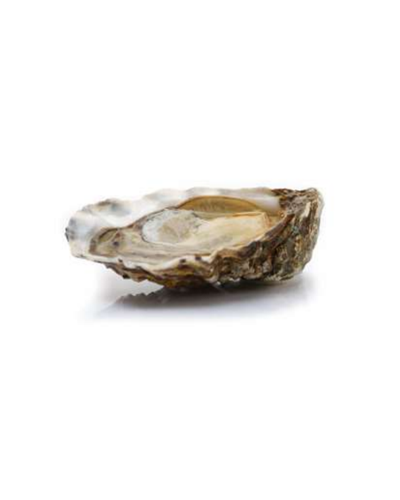 Oysters Mauger Jolie N.2